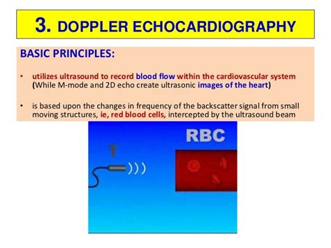 Principles of Doppler echocardiography .